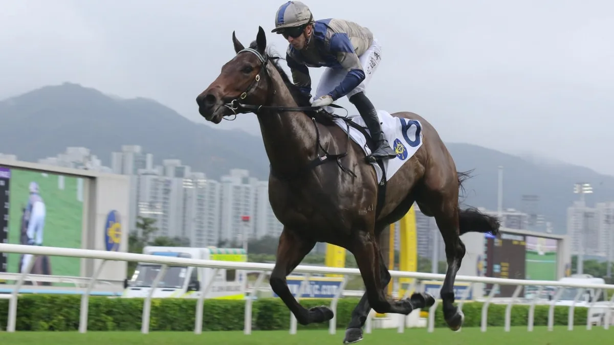 ‘Even Ka Ying Rising got beat’ – David Hayes itching to prove Jedi Spurs is the real deal