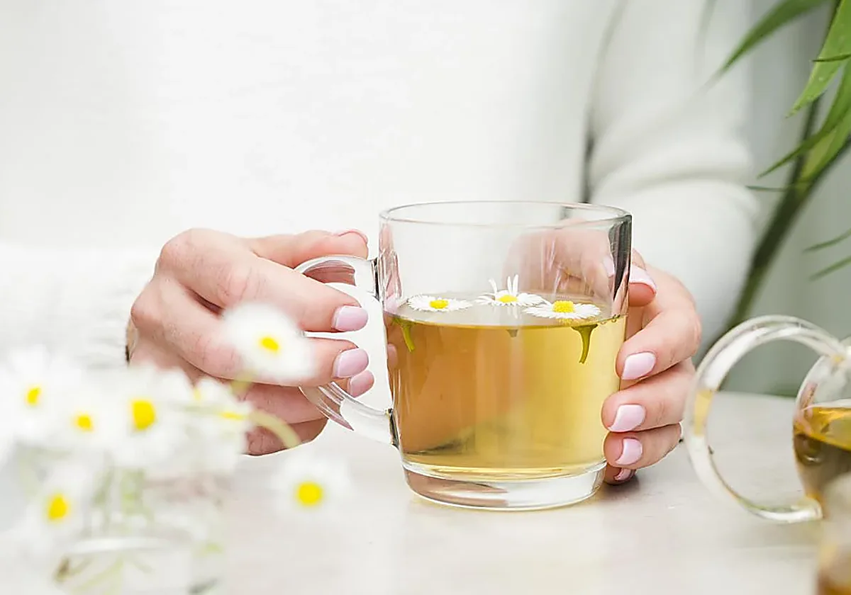 Qué pasa en el cuerpo si tomamos manzanilla cada día y qué efecto tiene en los riñones