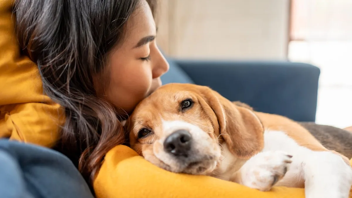 Was Ihr Vierbeiner wirklich empfindet - Liebt mich mein Hund? Der KI-Check gibt Antwort