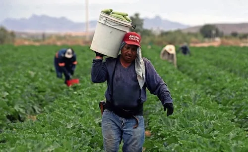 Tras shock energético, ONU advierte sobre posible crisis alimentaria mundial; precios agrícolas subieron por hidrocarburos más caros