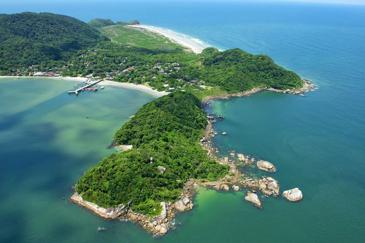 Litoral do Paraná terá mutirão para retirar plantas que ameaçam a biodiversidade