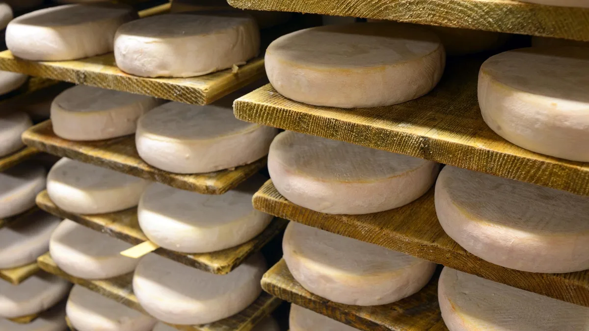 Reblochon, comté... La sécheresse a même un impact sur la fabrication des fromages