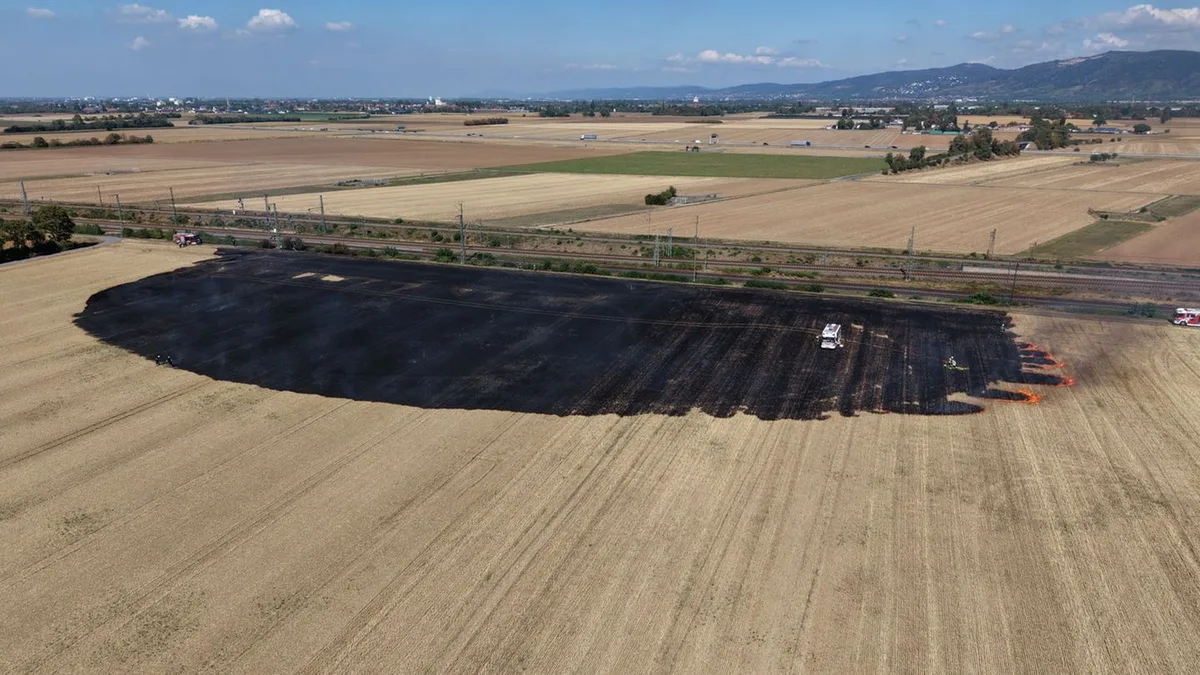 Bei Heidelberg: Bahnstrecke wegen Brandes zeitweise gesperrt