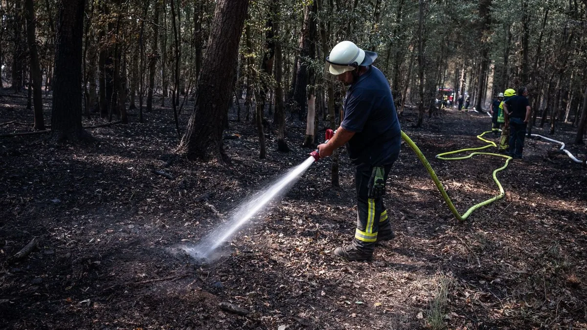 Waldbrandbekämpfung: Bürgermeister: Brand im Hürtgenwald gelöscht