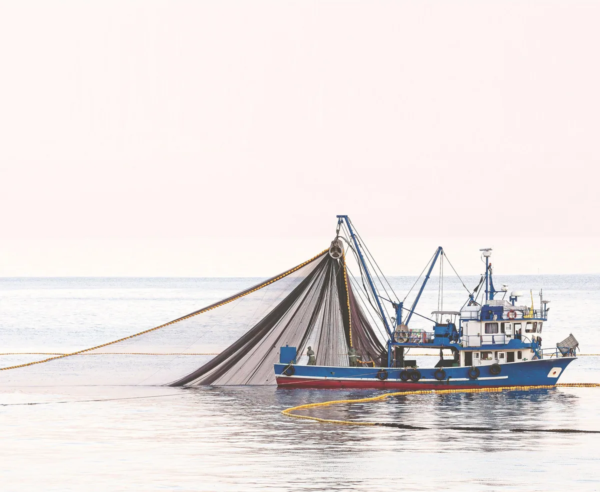 Green signal for blue water fishing: The permit could be a game changer