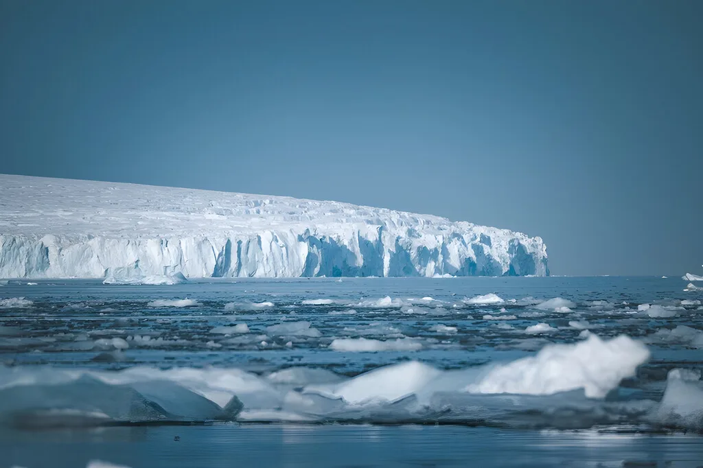 60 millones de nidos bajo el hielo de la Antártida: la historia detrás de la mayor "ciudad" de peces del mundo