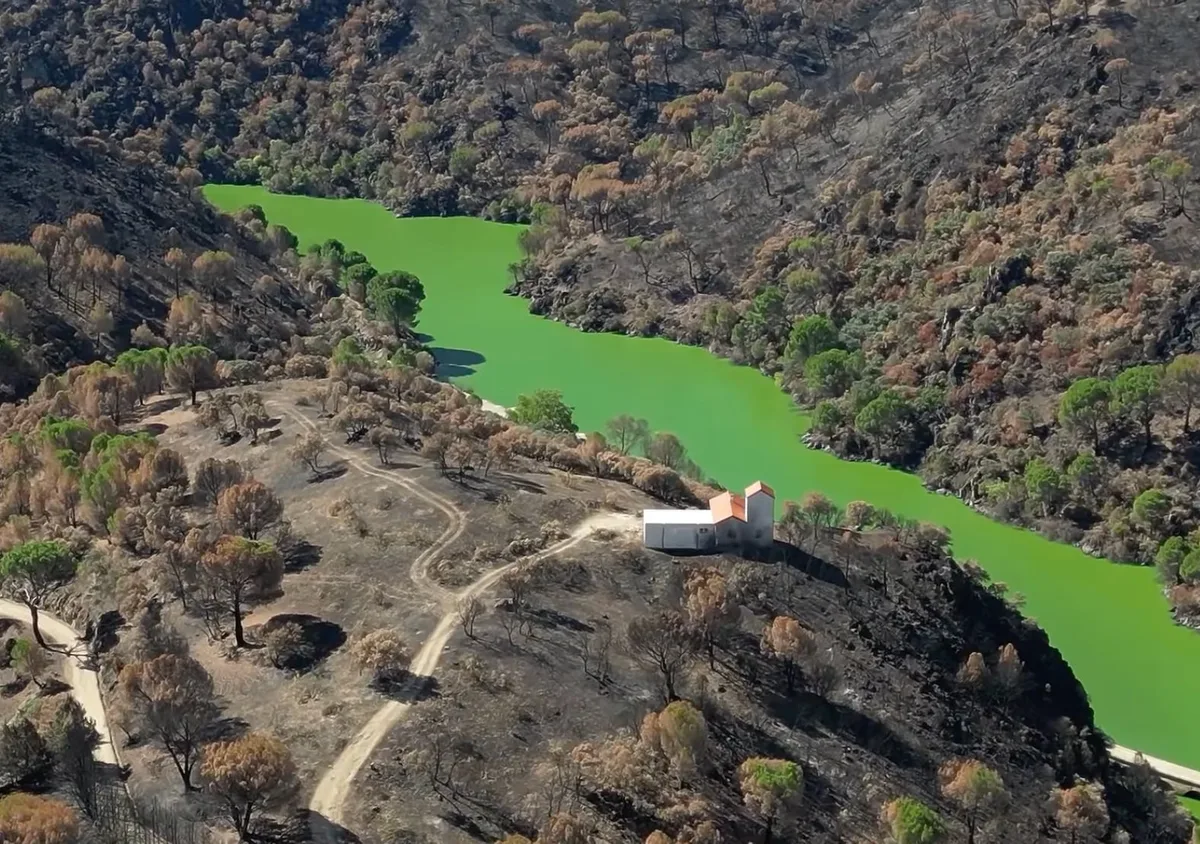 España. Casas sin gente, gente sin casa: las causas detrás de los incendios y las lecciones para la Patagonia