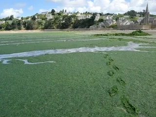 Une plage de cinéma. Le thriller environnemental de Pierre Jolivet tourné dans les Côtes-d’Armor