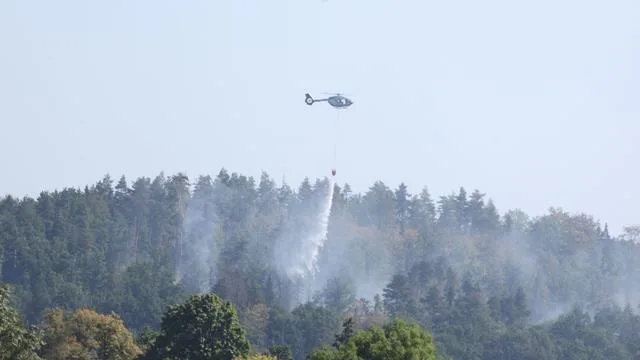 Brände: Feuerwehr beendet Einsatz im «Schwarzen Holz» bei Plauen