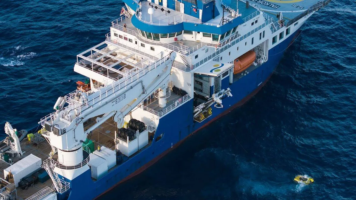 Scientists found 31 new species in the ocean's vast midwater zone, including nine new jellyfish