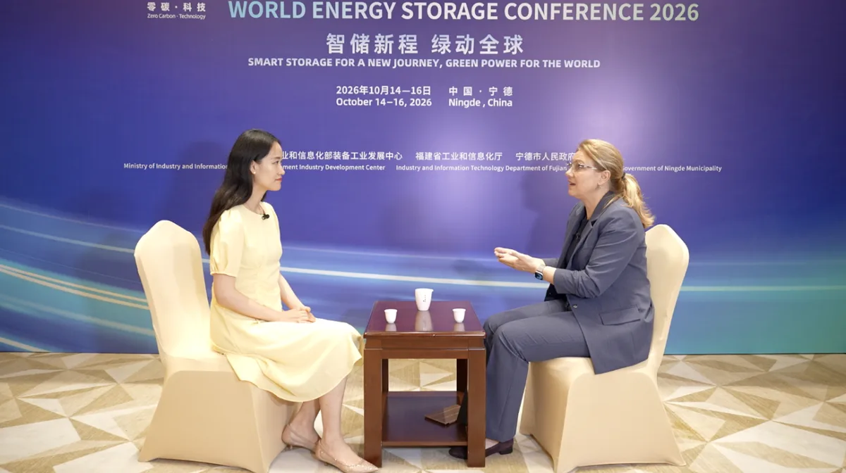 IRENA Coalition head urges global teamwork as energy storage grows
