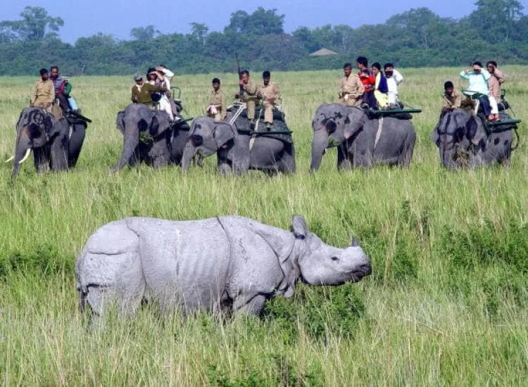 Development vs conservation