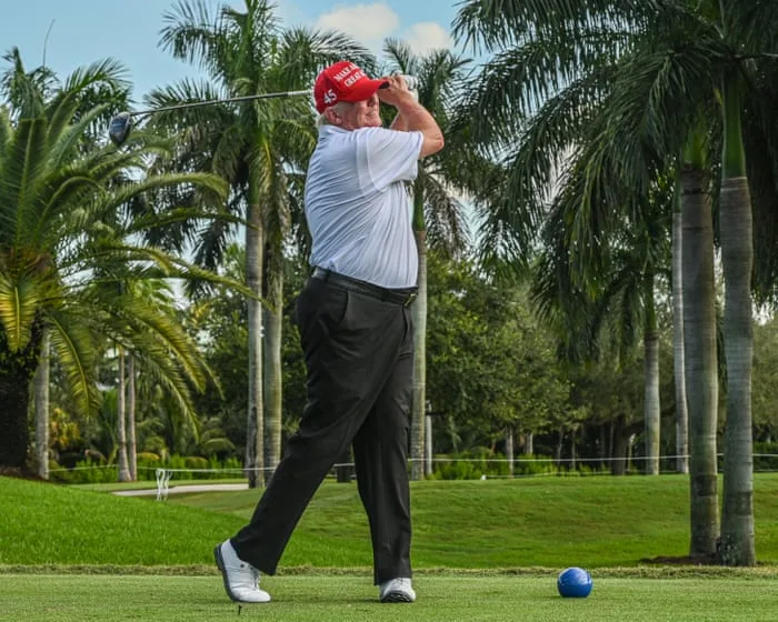 If Trump fells 430 trees in the middle of a golf course, do they make a sound?