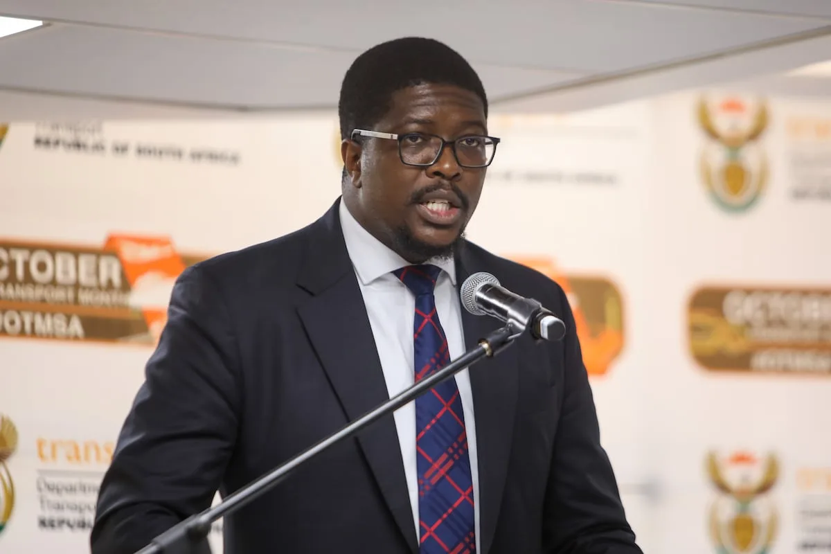 Q&A with Mkhuleko Hlengwa, deputy transport minister