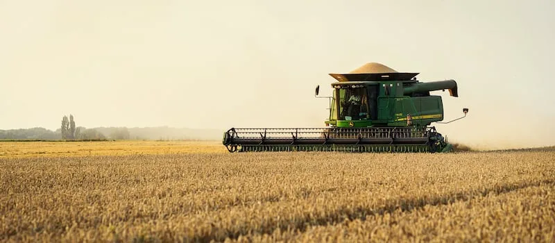 Global food inflation expected to intensify as supply shocks mount