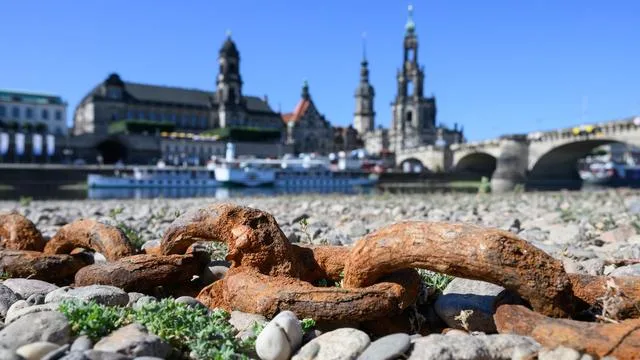 Niedrigwasser: Zu wenig Wasser: Fährverkehr auf der Elbe eingeschränkt