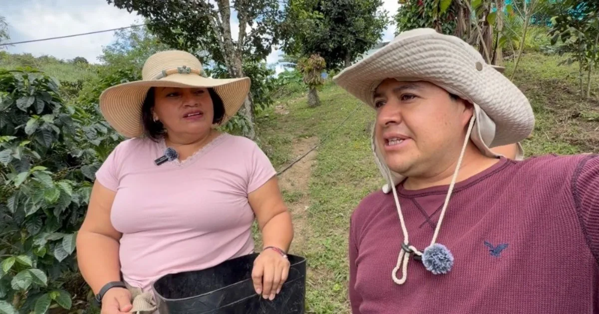 Pareja se fue a vivir al campo para hacer su propia huerta: "Nunca estamos solos, tenemos animales y podemos vivir tranquilamente unos seis meses sin volver a la ciudad"
