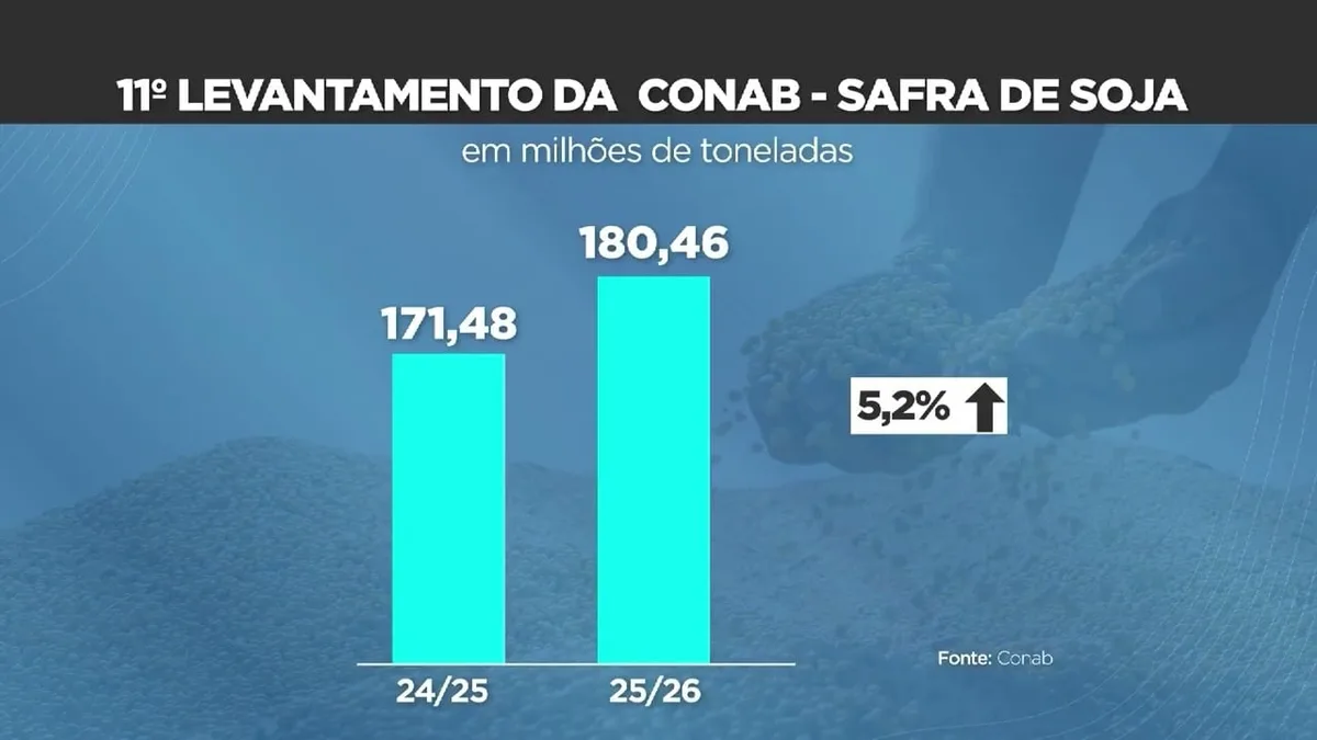 Conab eleva projeção da safra de grãos 25/26 com recorde de algodão