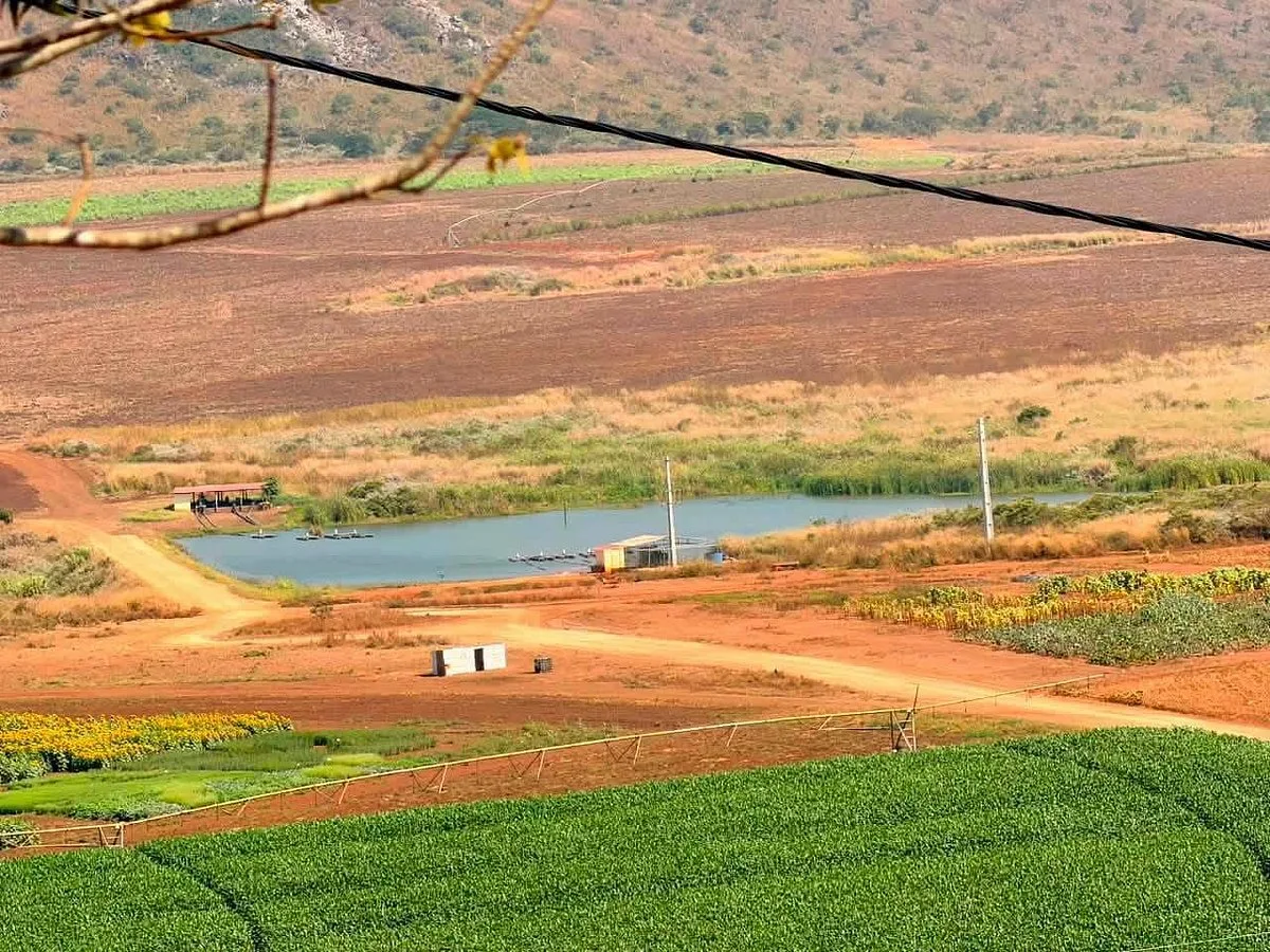 Brasil e Angola avançam em acordo para investimentos no agronegócio
