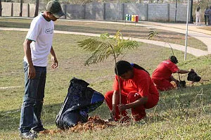 Cabe penhora do pecúlio do preso para pagar pena de multa, diz STJ