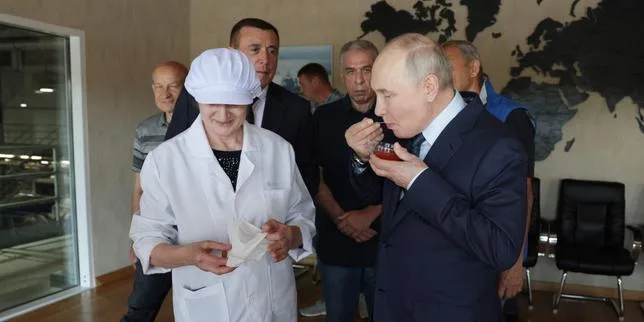 Vladimir Poutine en visite dans les îles Kouriles, disputées avec le Japon
