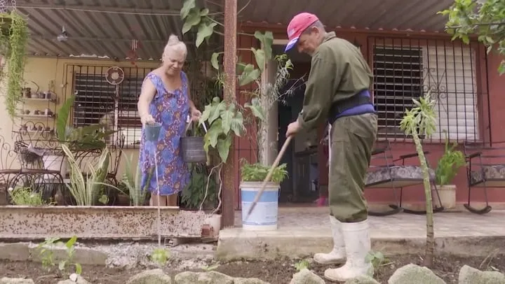 Pareja cubana convierte su patio en un huerto para enfrentar la escasez de comida