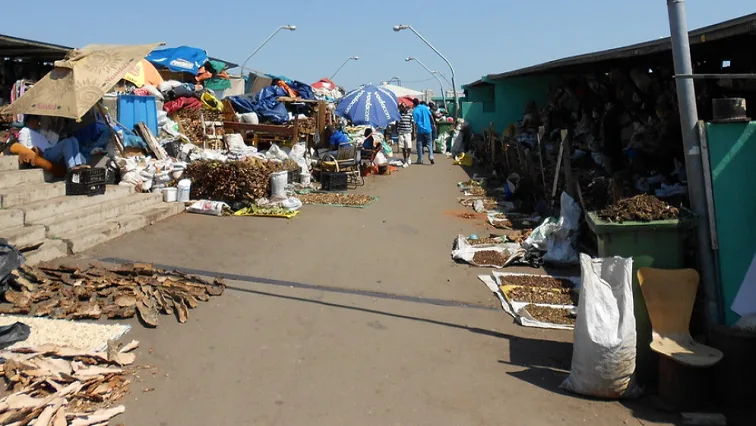 Transforming Indigenous Knowledge Systems into thriving business
