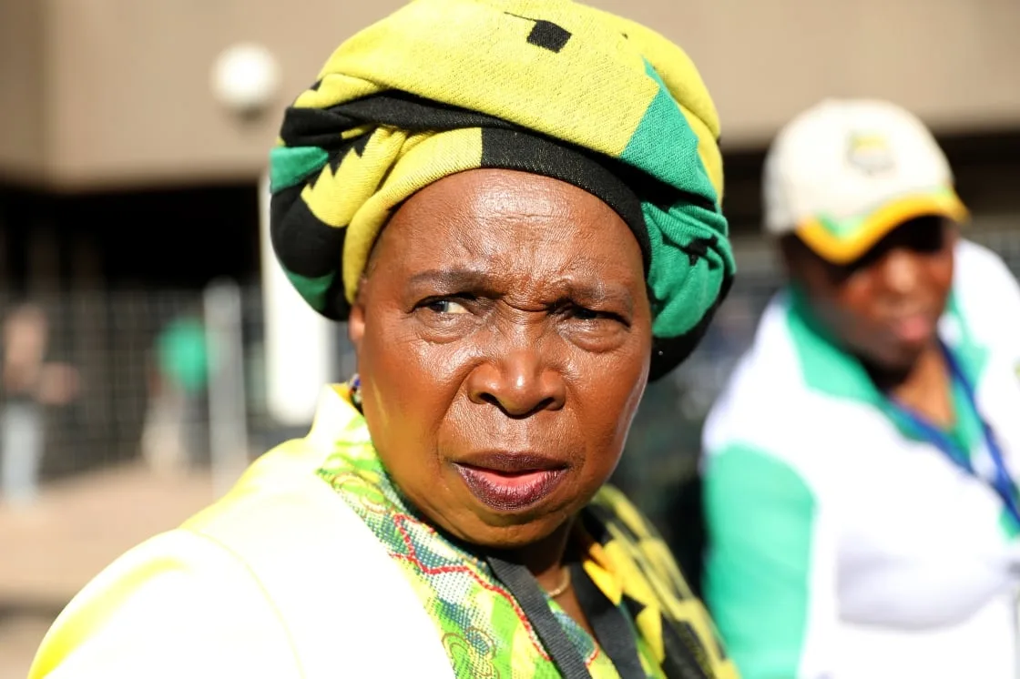 Dlamini-Zuma retracts vote-buying claims against Ronald Lamola