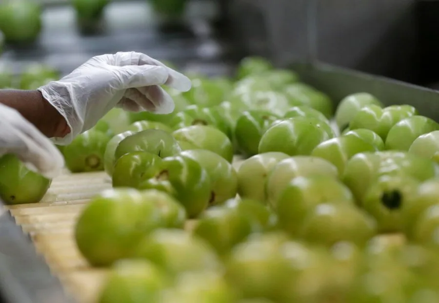 Fairness for growers is food security for America