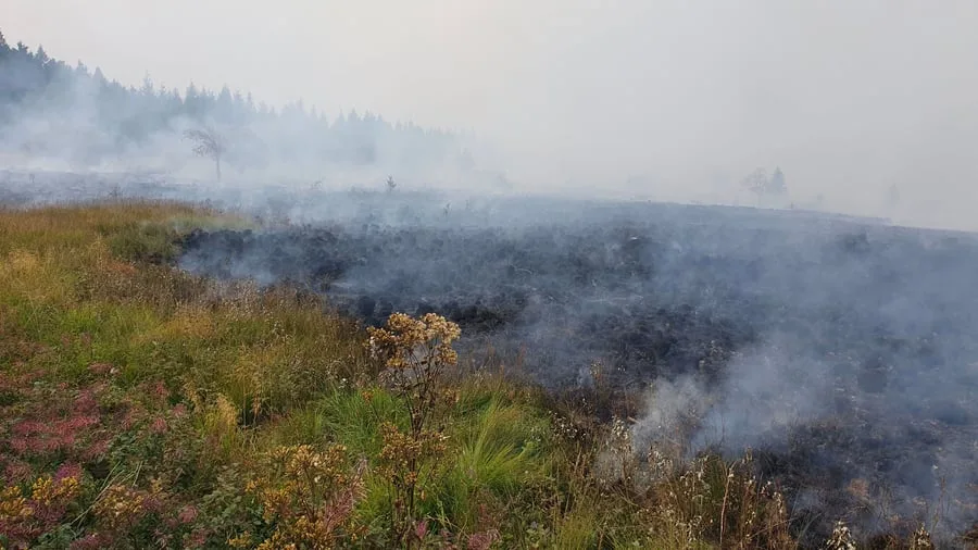 Waldbrände: Lage in Monschau und Hürtgenwald entspannt sich