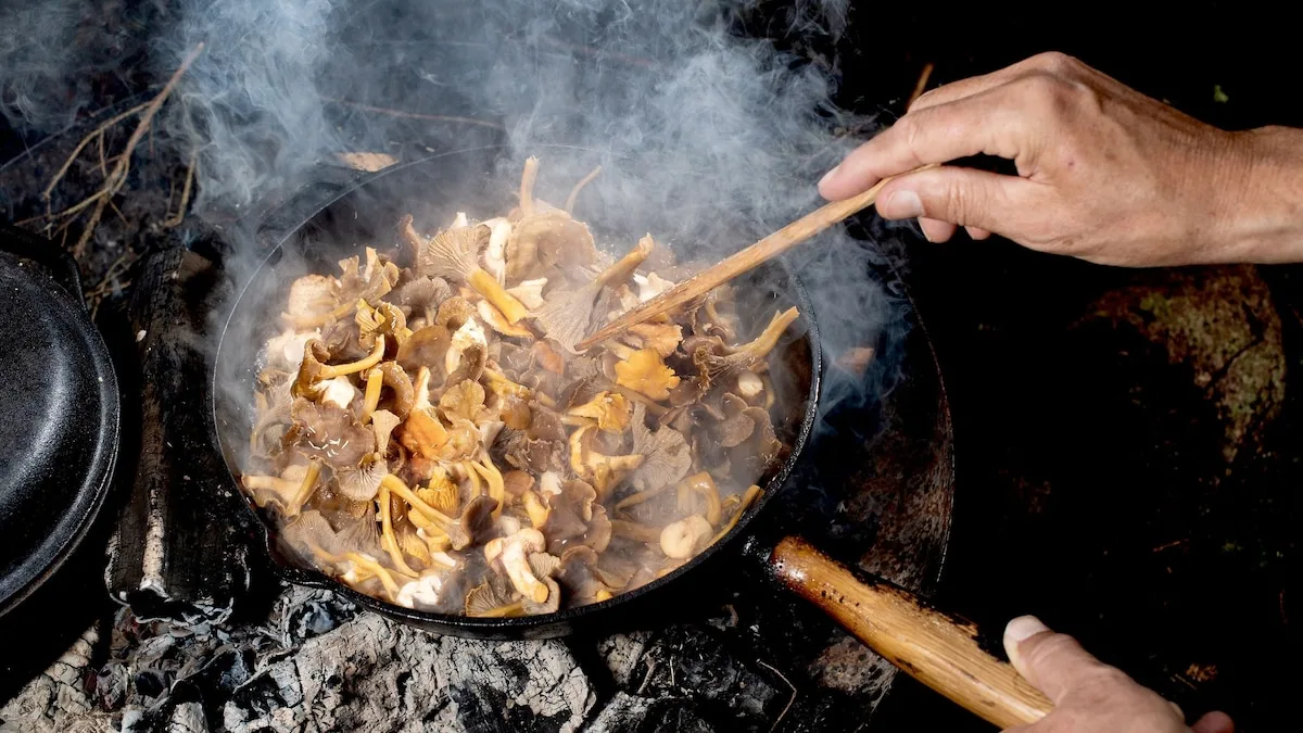 Pilzexperte: Egal, was im Rezept steht: Kochen Sie Waldpilze 15 Minuten