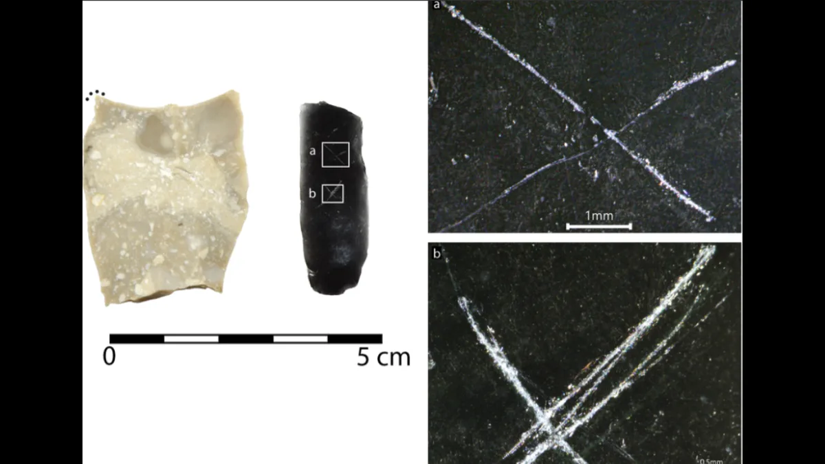 9,000-year-old arrowheads covered in strange markings leave archaeologists puzzled