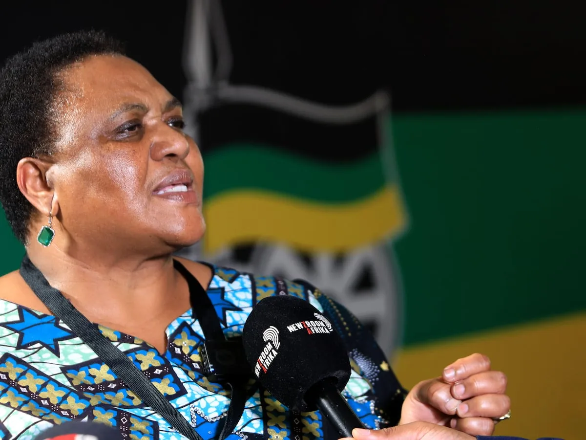 ‘Caretaker’ justice minister Didiza cannot recall TRC meetings 20 years ago - Clone