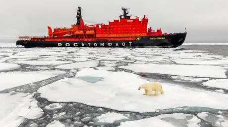 NATO seeking to push Russia out of Arctic – scholar