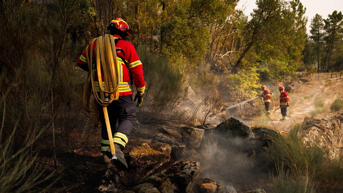 Incêndios: Mais de 1.100 operacionais nos três maiores fogos ativos