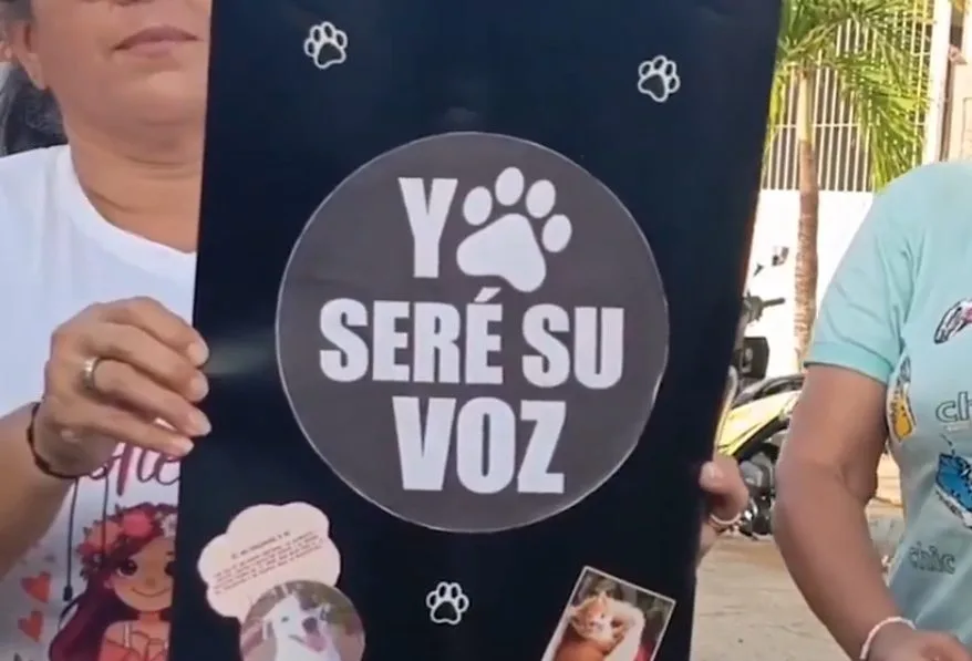 Exigen justicia tras el envenenamiento de más de 20 mascotas en la Isla de Margarita