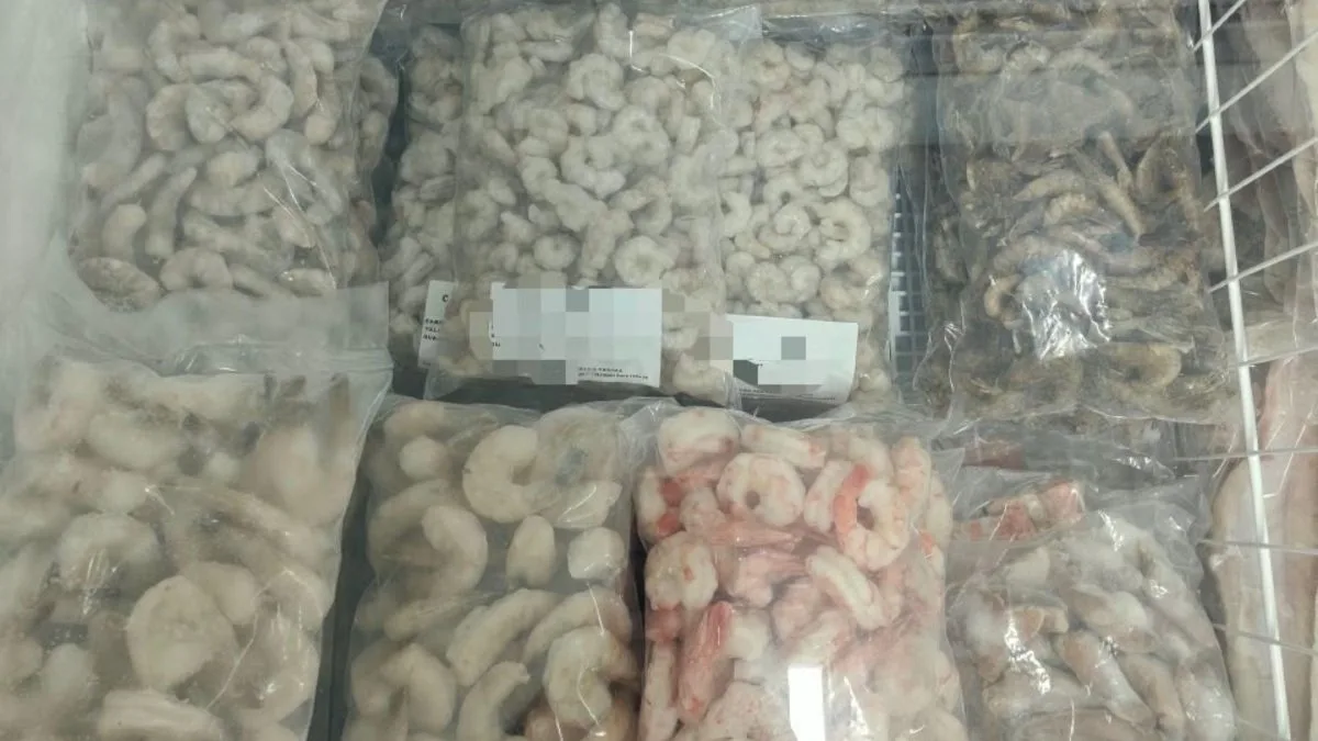 Mais de cinco toneladas de peixes e camarões vão para o lixo após fiscalização encontrar irregularidades em comércios de praia de pescadores em SC