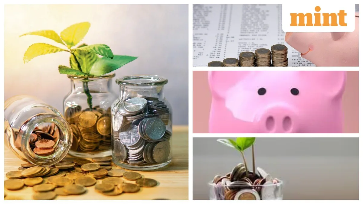 SCSS + RBI Floating Rate Bonds: Check how ₹50 lakh can generate ₹4.07 lakh a year for seniors