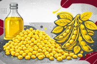 Após recorde, produção de azeite deve cair em 2027, aponta Ibraoliva