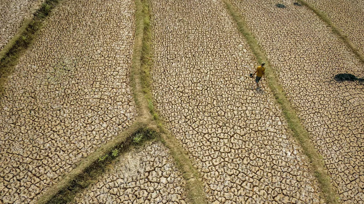 El Niño wird laut WMO-Bericht sehr stark ausfallen
