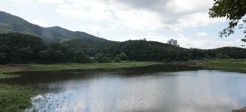 [르포] "이제야 한숨 돌렸어요"…가뭄 시달린 농민들, 잇단 비에 반색