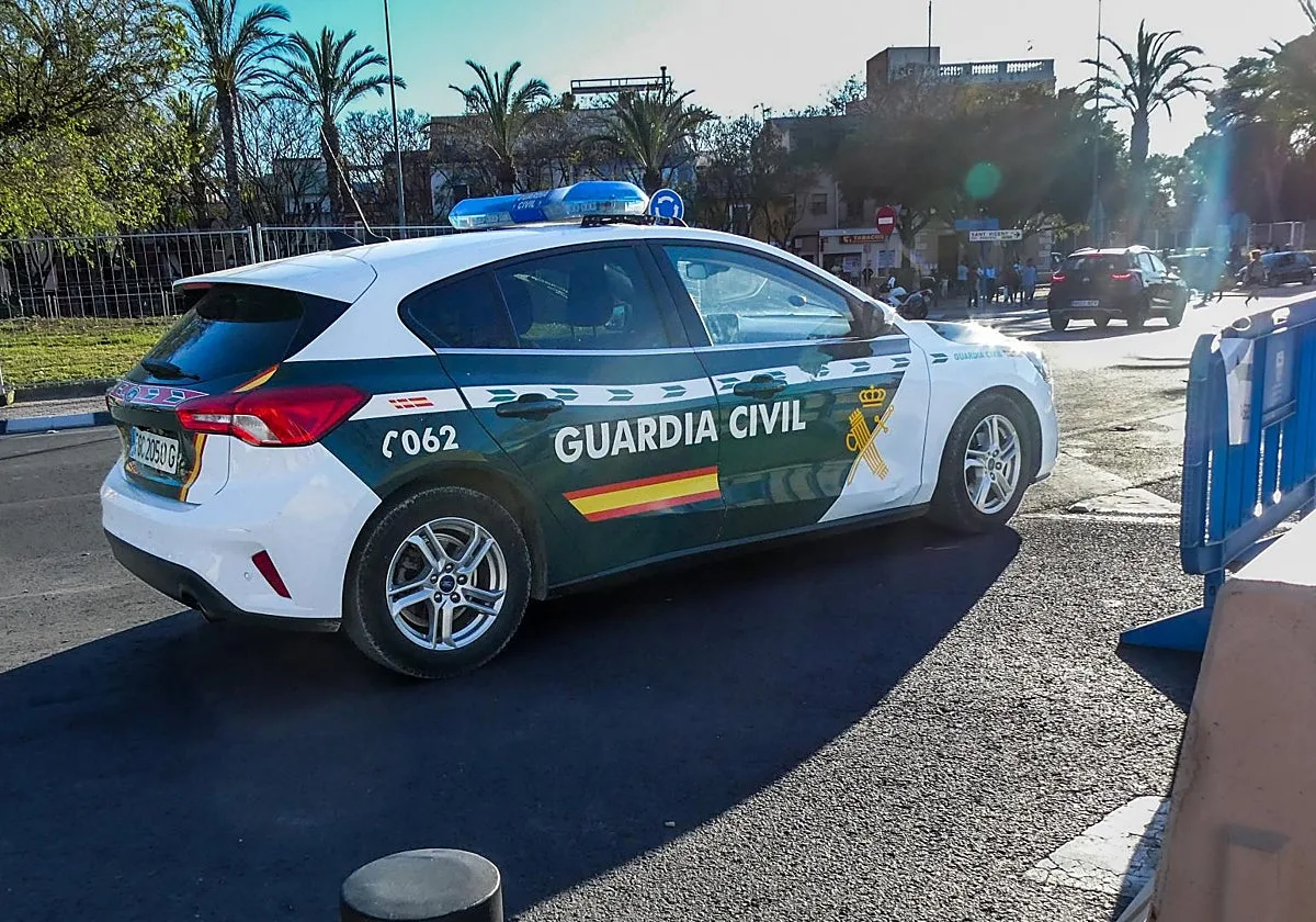 Detienen a un ladrón por decapitar 80 codornices y 24 palomas en Vall d'Alba (Castellón)