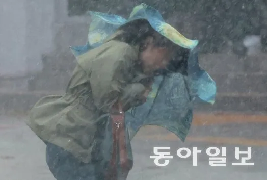 가로수·물탱크 쓰러지고 도로 침수…거센 가을비에 피해 속출