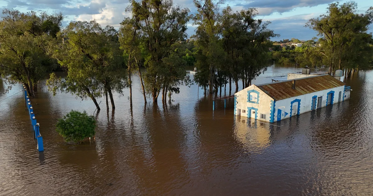 Fenómeno El Niño en Corrientes: el agua avanza y los vecinos se preparan para una inundación histórica