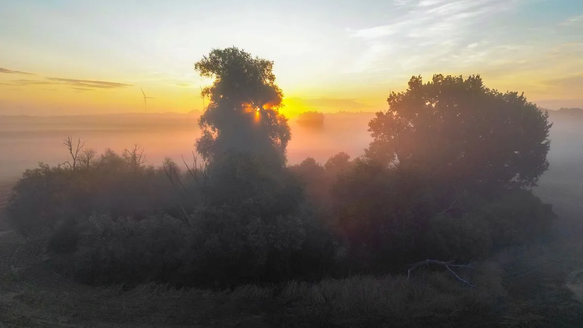 Wetter: Nebel am Morgen - bis zu 20 Grad am Freitag
