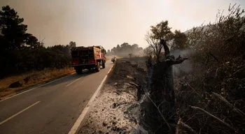 APA vigia contaminação de rios e albufeiras por cinzas de fogos