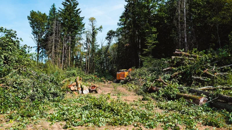 Chantier de l'A412: les opposants demandent l'arrêt du chantier, une décision administrative attendue