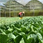 ESG no agronegócio após mudança da CVM: o que ainda precisa ser comprovado?