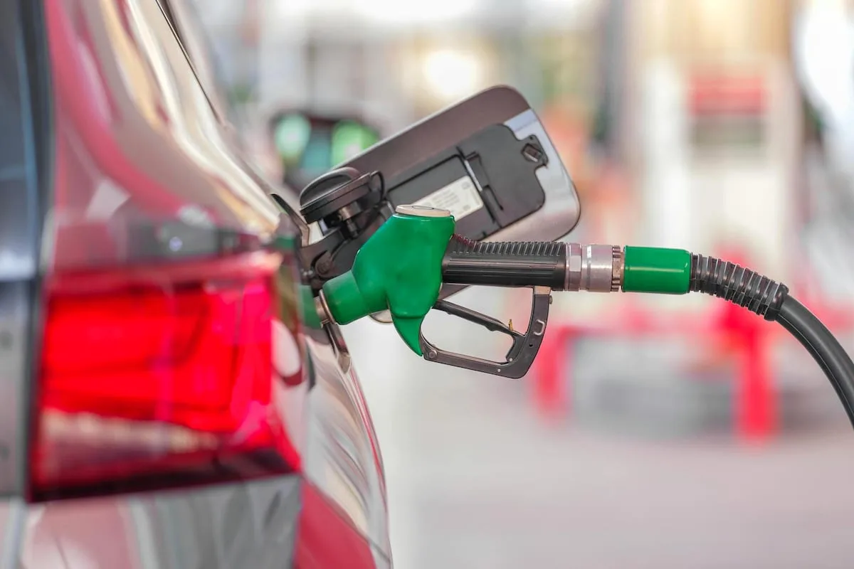 WILLIAM GUMEDE | Fuel price shock partly self-inflicted