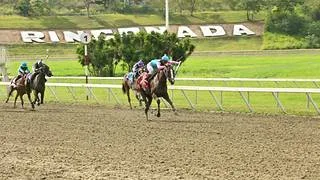 Ojo al sellar el 5y6: La cifra negativa que persigue a este ejemplar en la quinta válida de La Rinconada